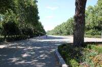 parque-retiro-madrid14