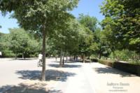 parque-retiro-madrid2