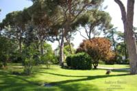 parque-retiro-madrid20