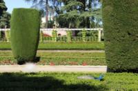 parque-retiro-madrid24