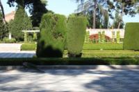 parque-retiro-madrid26