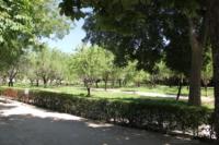 parque-retiro-madrid3