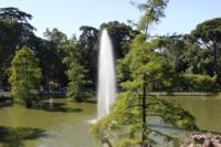 parque-retiro-madrid35