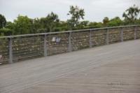 Parigi, passerelle Solferino