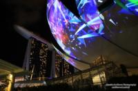 singapore-notte13