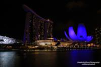 singapore-notte16