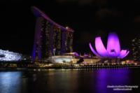 singapore-notte17