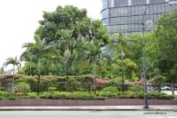 Orchard Road